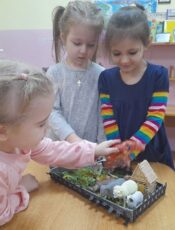 Наши домашние питомцы