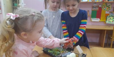 Наши домашние питомцы